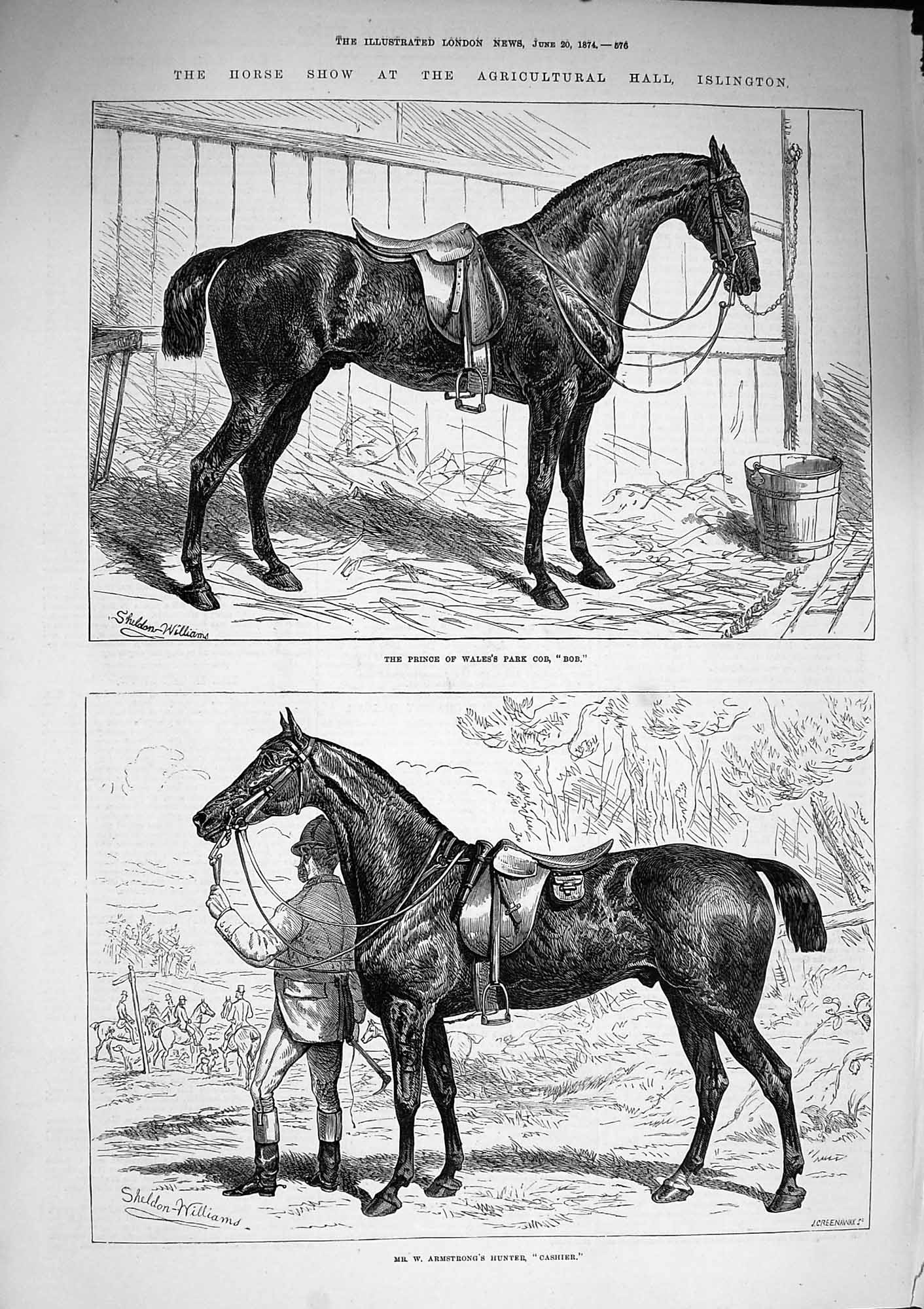 Original Old Antique Print 1874 Horse Show Islington Prince Wales Cob Cashier