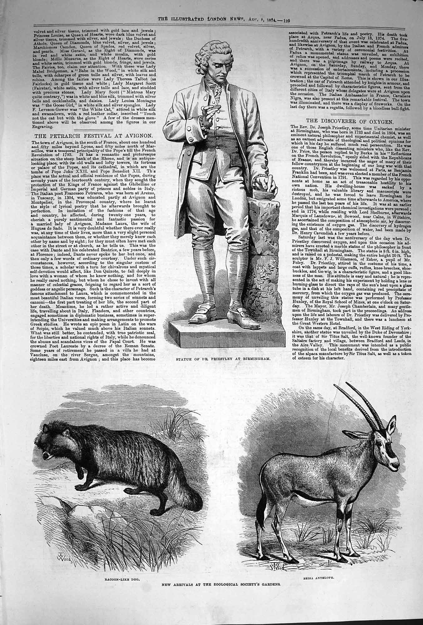 Original Old Antique Print 1874 Statue Priestley Racoon-Like Dog Beisa Antelope