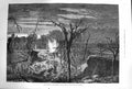 Old Antique Print 1874 Disaster Regent'S Canal Explosion Trees Fine Art 19th