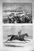 Original Old Antique Print 1874 Aventuriere Horse Cesarewitch Newmarket Thames