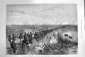 Old Antique Print 1874 Samuel Baker Expedition White Nile Steamer Grass 19th