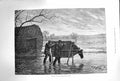 Original Old Antique Print 1874 Shooting Wildfowl River Thames Sport Victorian