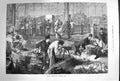 Original Old Antique Print 1874 Poultry Market Halles Centrales Paris France