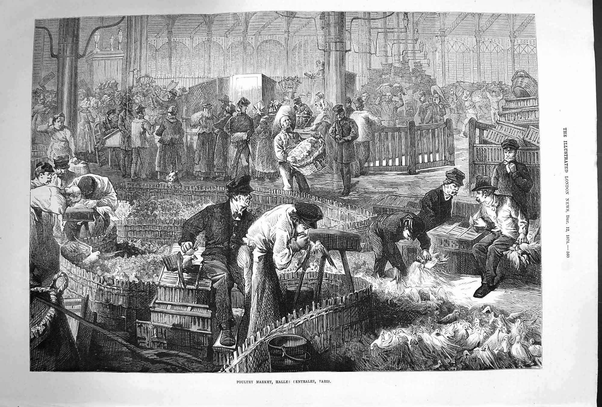 Original Old Antique Print 1874 Poultry Market Halles Centrales Paris France