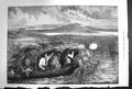 Antique Print *3309 1874 Shooting Canvas-Back Ducks Chesapeake Bay Maryland