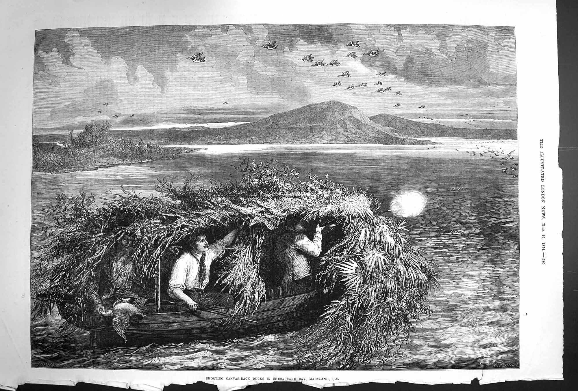 Antique Print *3309 1874 Shooting Canvas-Back Ducks Chesapeake Bay Maryland