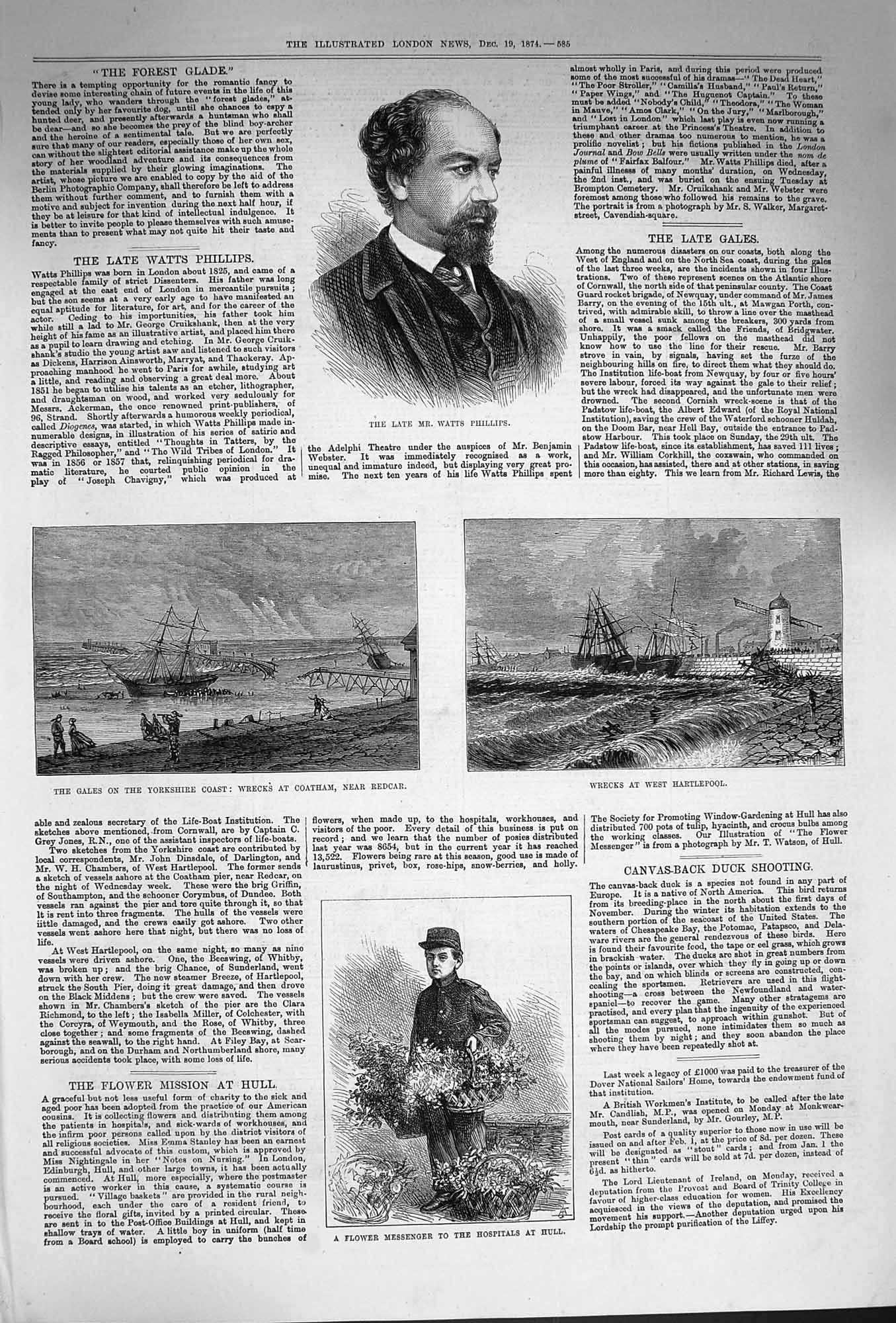 Old Antique Print 1874 Watts Phillips Flowers Hospital Hull Ships Coatham 19th
