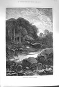 Old Antique Print 1874 Spectre Stag Trees River Hunting Shooting Fine Art 19th