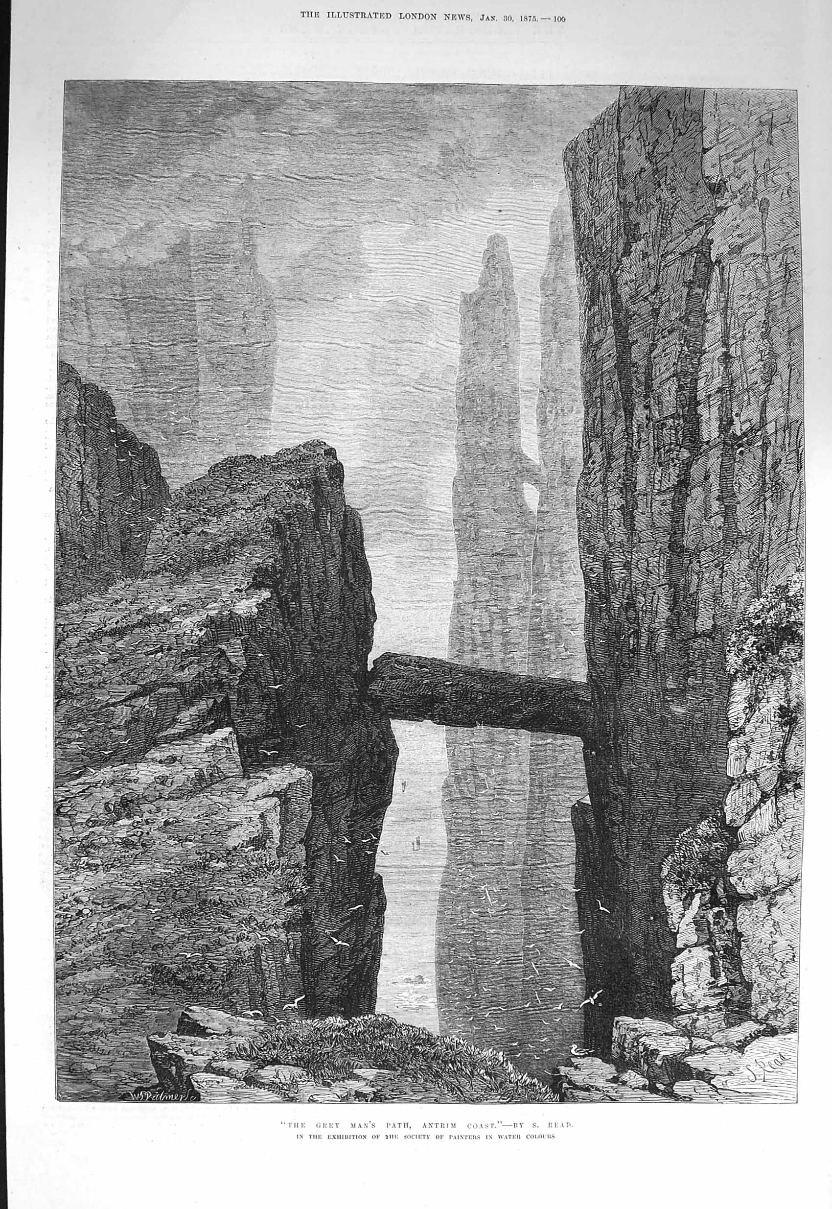 Old Antique Print 1875 Grey Man'S Path Antrim Coast Ireland Cliffs Birds 19th