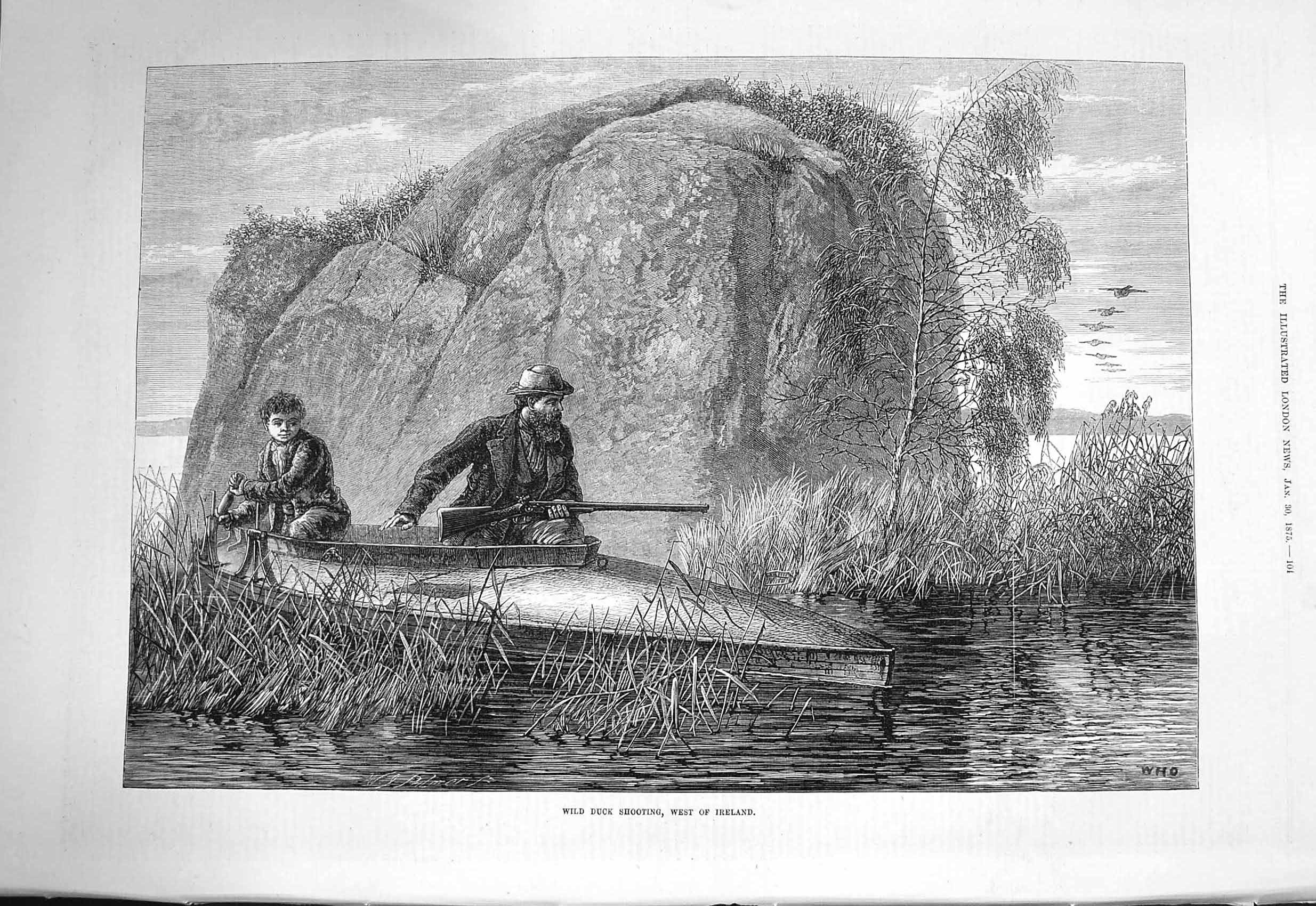 Original Old Antique Print 1875 Wild Duck Shooting Ireland River Boat Sport