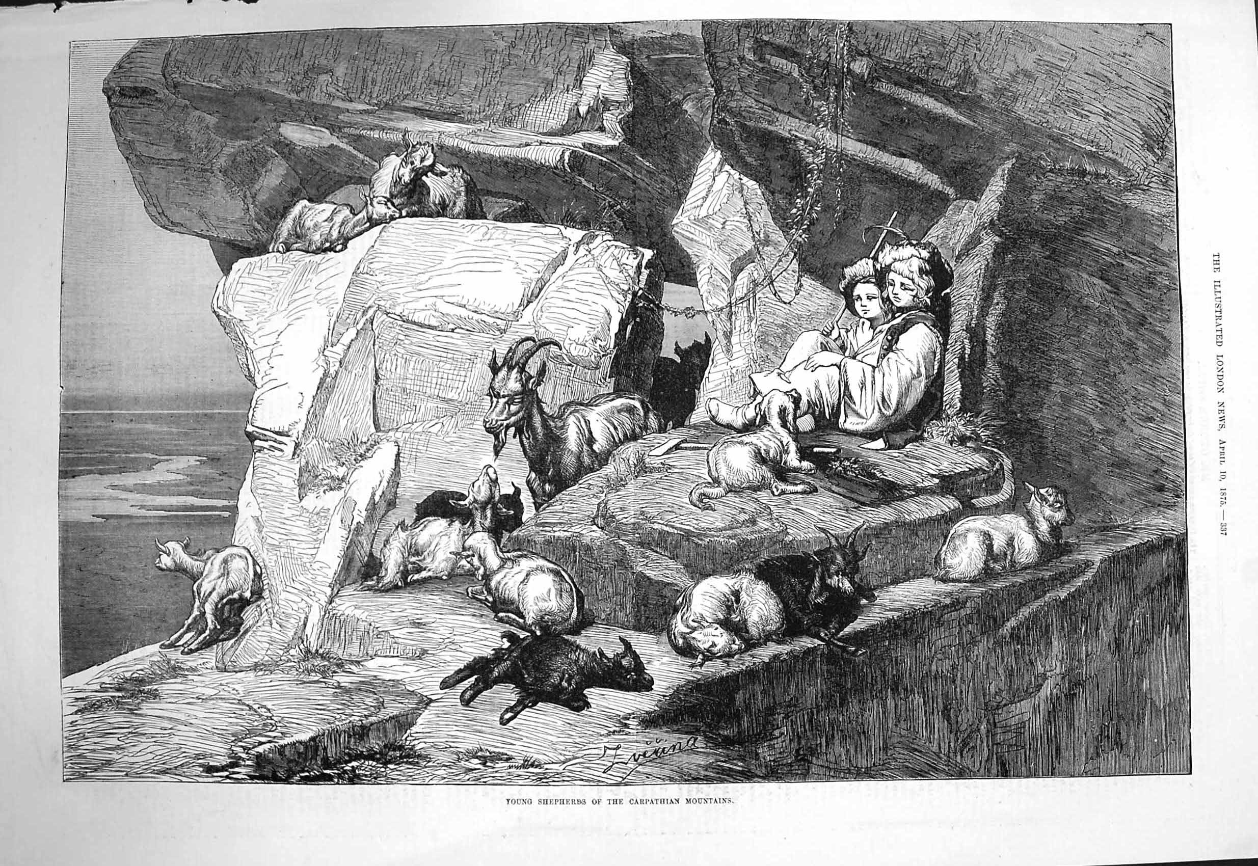Original Old Antique Print 1875 Young Shepherds Carpathian Mountains Goats 19th
