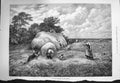 Original Old Antique Print 1875 Barley Harvest Hay-Making Agriculture Farming