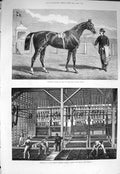 Original Old Antique Print 1875 Camballo Horse GQuartz Crushing Battery Thames