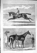 Original Old Antique Print 1875 Galopin Horse Derby Spinaway Winner Oaks Sport