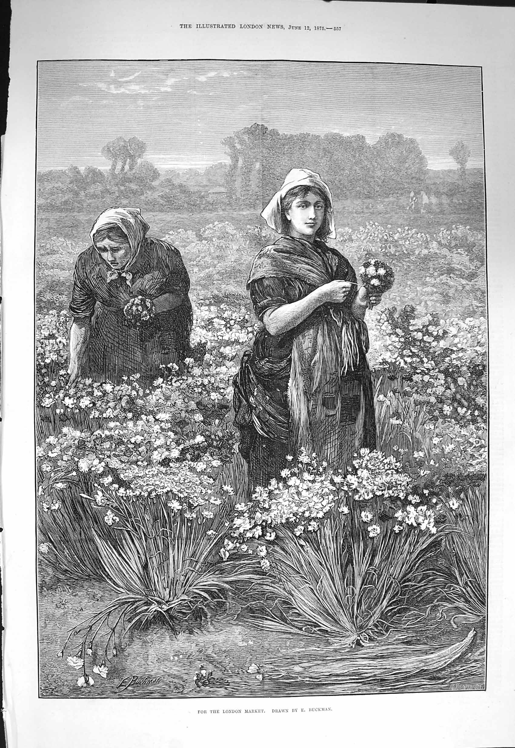 Original Old Antique Print 1875 Fine Art Women Picking Flowers London Market