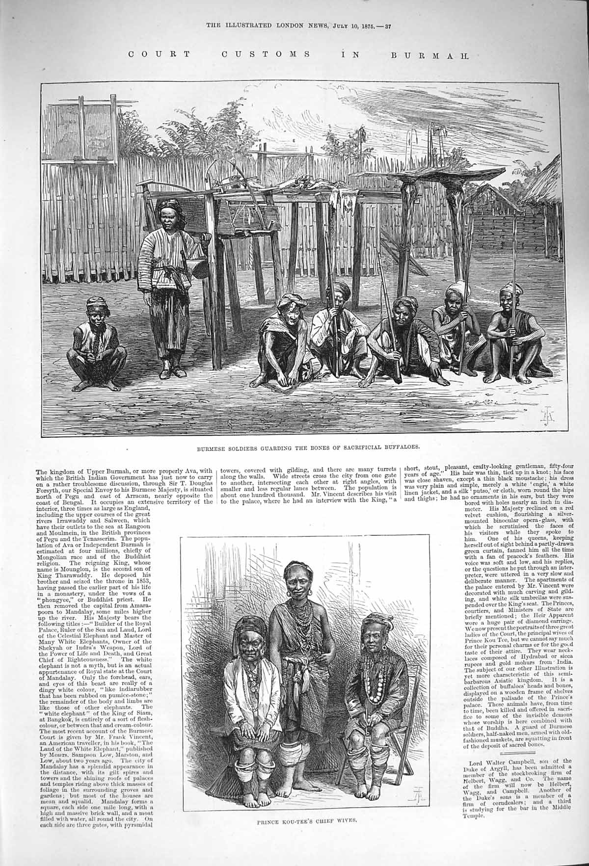 Original Old Antique Print 1875 Burmese Siers Bones Buffaloes Prince Victorian