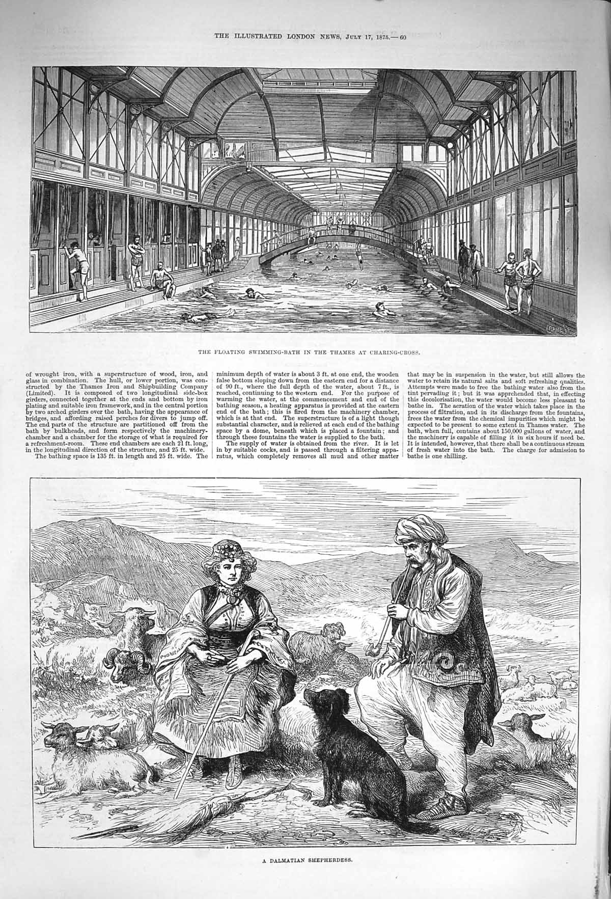 Original Old Antique Print 1875 Floating Swimming Thames Dalmatian Shepherdess