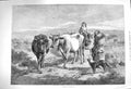 Original Old Antique Print 1875 Morning Scene Moors Cows Dogs Animals Victorian