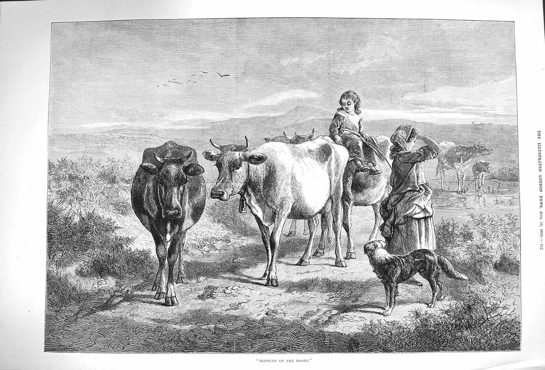 Original Old Antique Print 1875 Morning Scene Moors Cows Dogs Animals Victorian