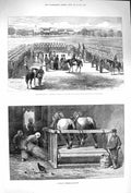 Original Old Antique Print 1875 Ashantee Medals India Negro Barbadoes Threshing