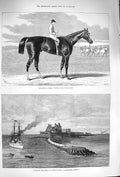 Original Old Antique Print 1875 Duke Parma Cesarewitch Horse Castellamare B 19th