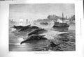 Old Antique Print 1876 Royal Visit India Ganges Boats Alligators Fine Art 19th