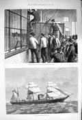 Original Old Antique Print 1876 Lions Zoological Gardens Ship Steamer Alfonso