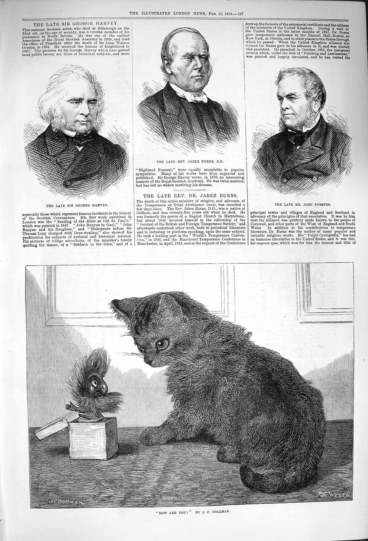 Original Old Antique Print 1876 Kitten Jack Box Dollman Burns Harvey Forster