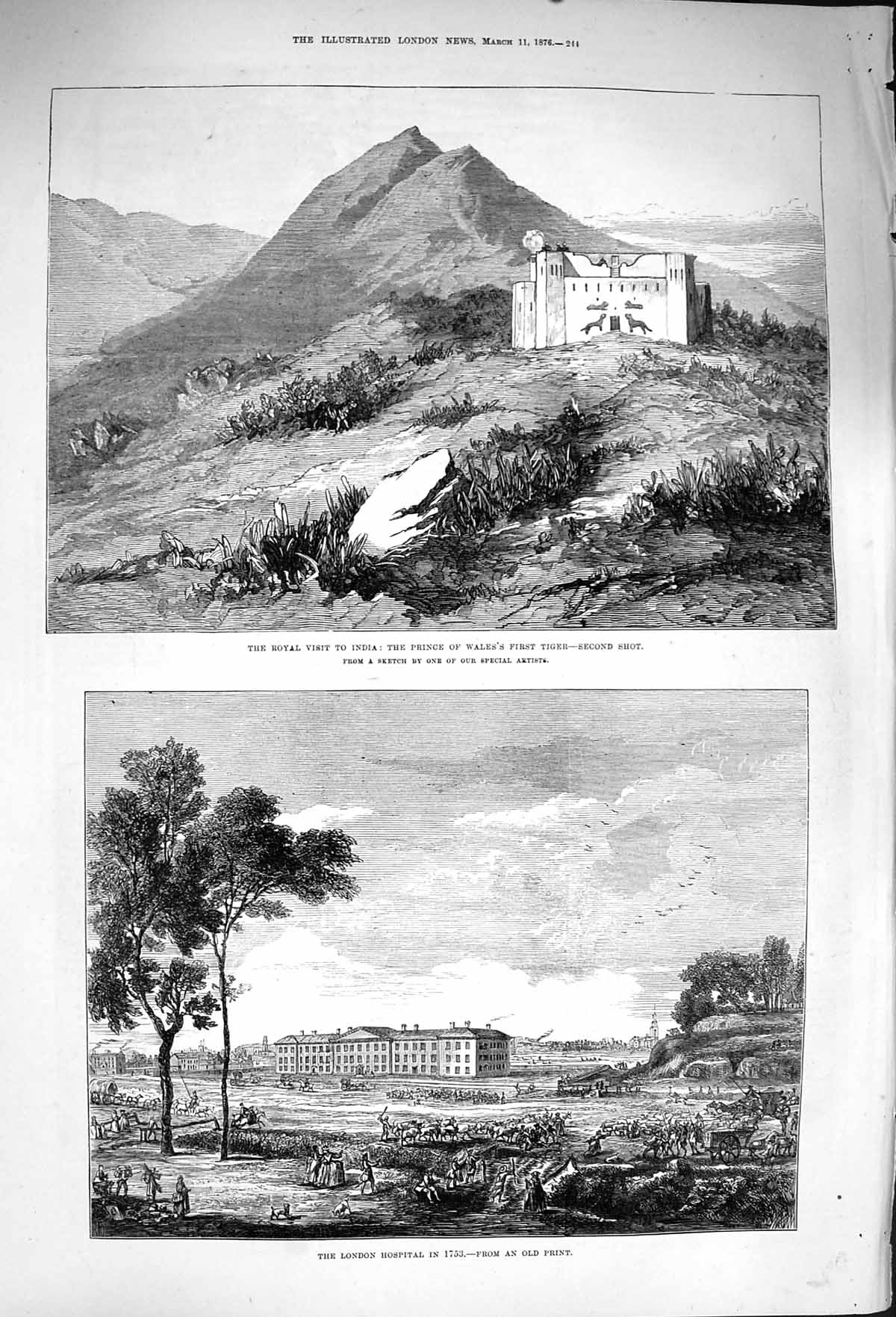 Old Antique Print 1876 India Prince Wales Tiger Hunting London Hospital 19th