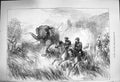 Original Old Antique Print 1876 Prince Wales Nepaul Terai Wild Elephant Horses