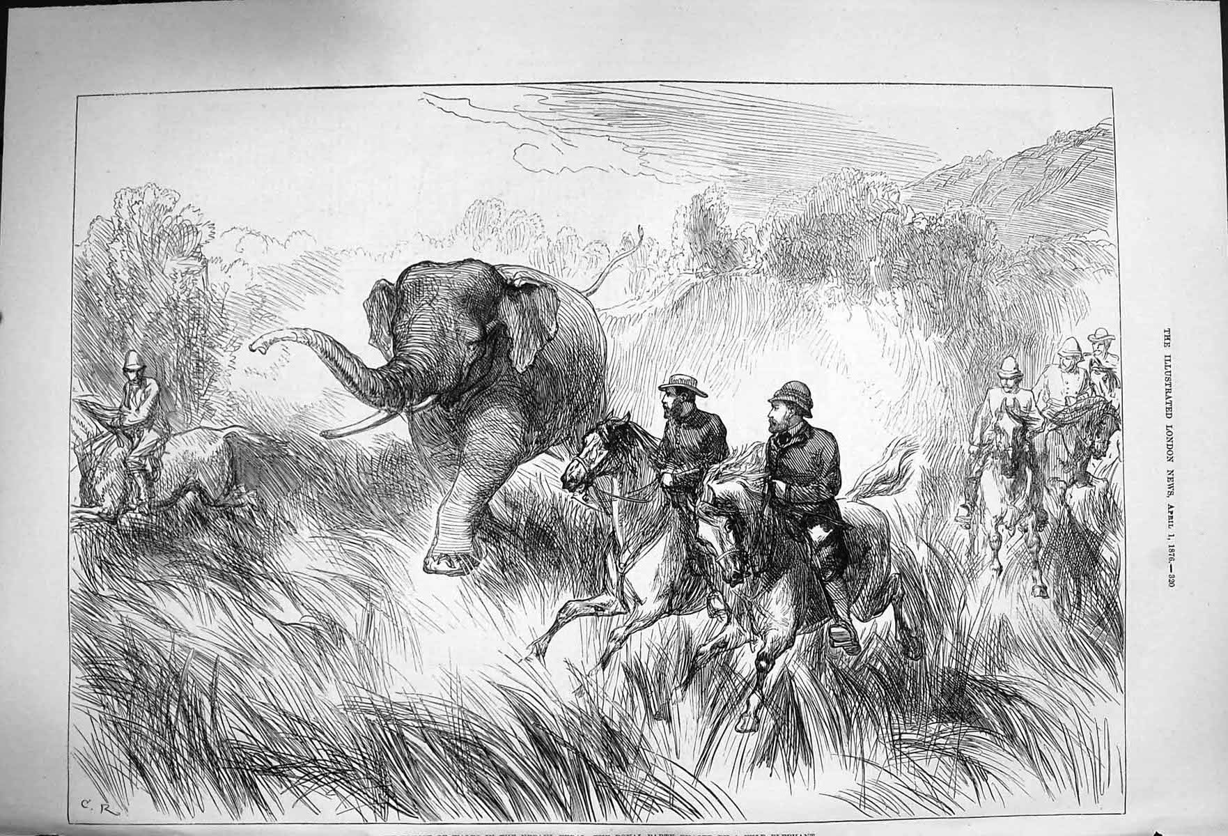 Original Old Antique Print 1876 Prince Wales Nepaul Terai Wild Elephant Horses