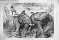 Original Old Antique Print 1876 Tame Elephants Hunting Wild Natives India 19th