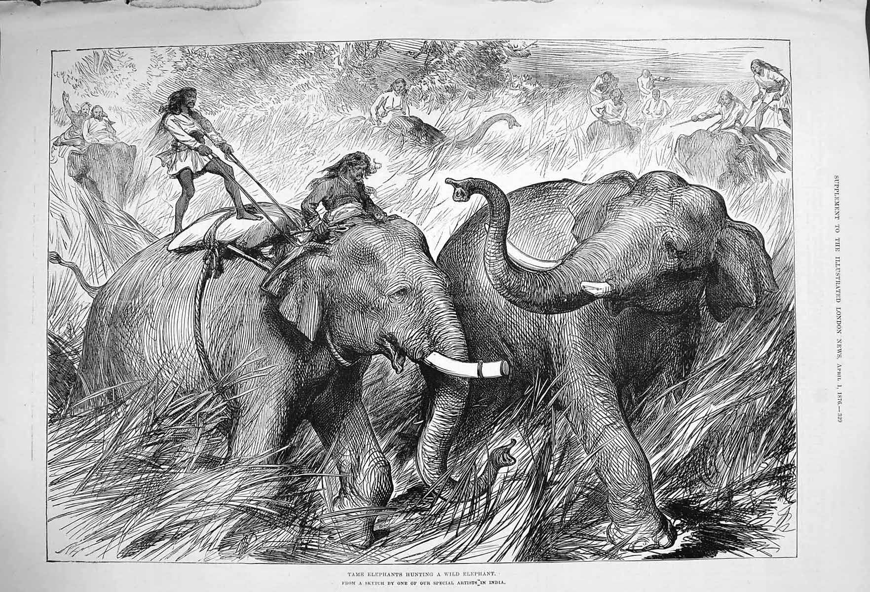 Original Old Antique Print 1876 Tame Elephants Hunting Wild Natives India 19th