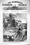 Original Old Antique Print 1876 Ship Wreck Strathmore Crozet Turf Tower 19th