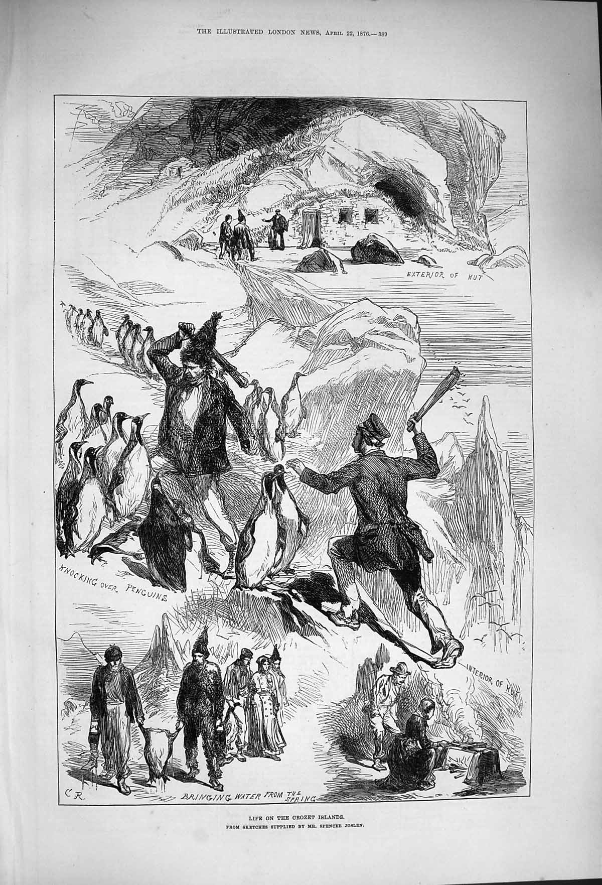 Original Old Antique Print 1876 Crozet Islands Penguins Hunting Sprin Victorian