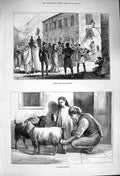 Original Old Antique Print 1876 Street Scene Gibraltar Maltese Milkma Victorian