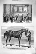 Old Antique Print 1876 Skating Rink Ice Chelsea Petrarch Newmarket Horse 19th