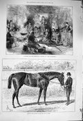 Original Old Antique Print 1876 Herzegovina Hut Belovase Apology Horse GAscot