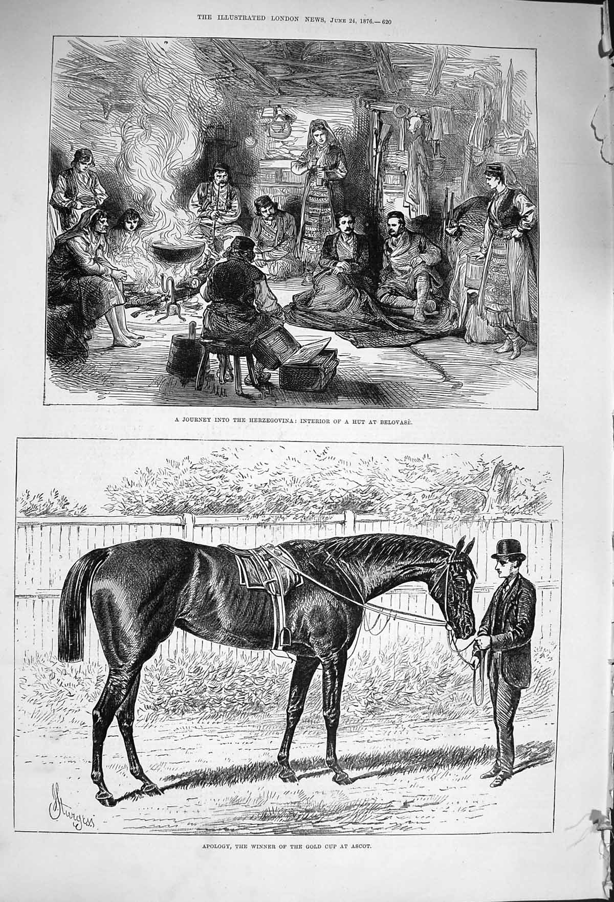 Original Old Antique Print 1876 Herzegovina Hut Belovase Apology Horse GAscot