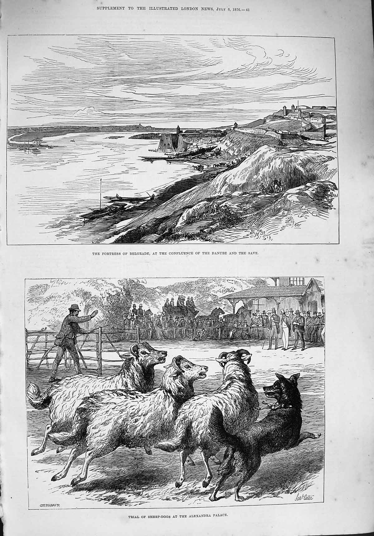 Original Old Antique Print 1876 Fortress Belgrade Danube Sheep Dogs Alexandra