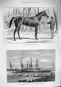Original Old Antique Print 1876 New Holland Horse Goodwood War Ships Alexandria