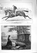 Original Old Antique Print 1876 Rosebery Horse Cesarewitch Stakes Lady Grave