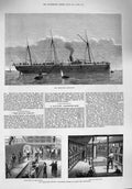 Old Antique Print 1876 Troop Ship Assistance Embarking Horses Transport 19th