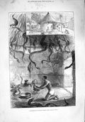 Original Old Antique Print 1876 Snake House Whydah Dahomey West Coast Africa