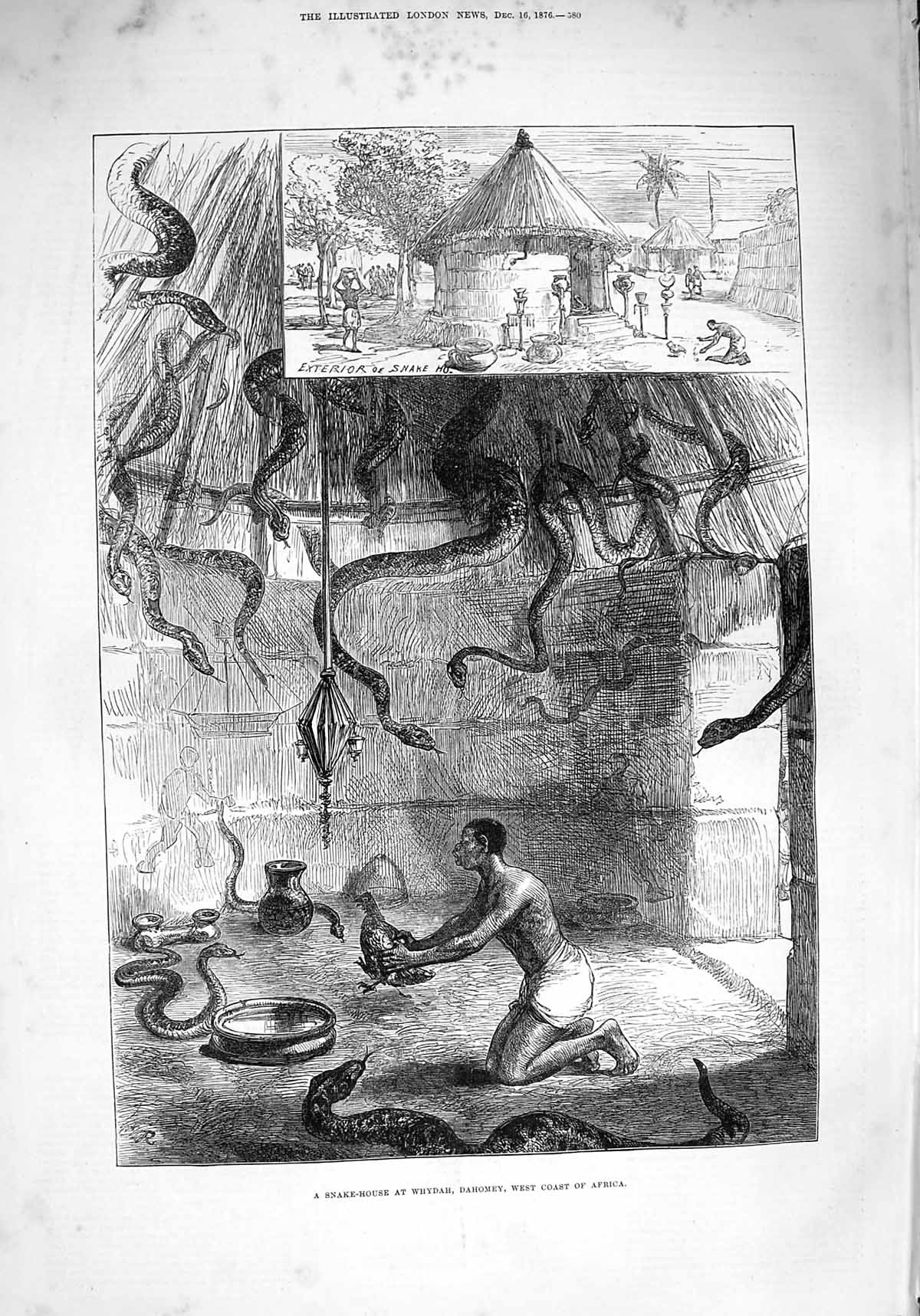 Original Old Antique Print 1876 Snake House Whydah Dahomey West Coast Africa