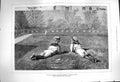 Original Old Antique Print 1877 Our Private School Boys Garden Walter Severn