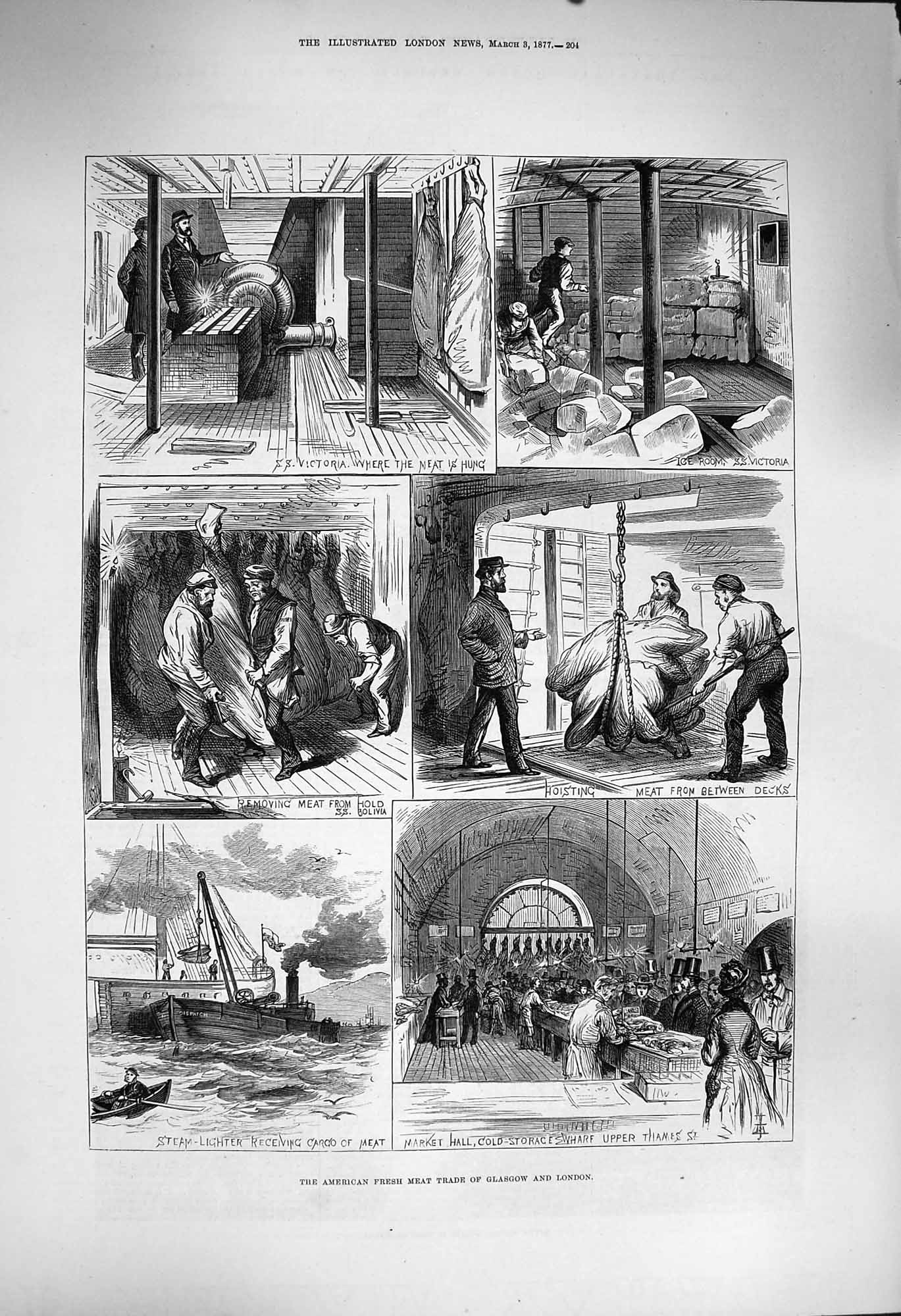 Original Old Antique Print 1877 American Fresh Meat Trade Glasgow London V 19th