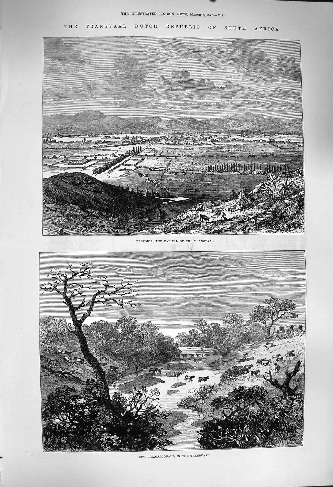 Original Old Antique Print 1877 Transvaal Dutch Africa Pretoria Magaloquai 19th