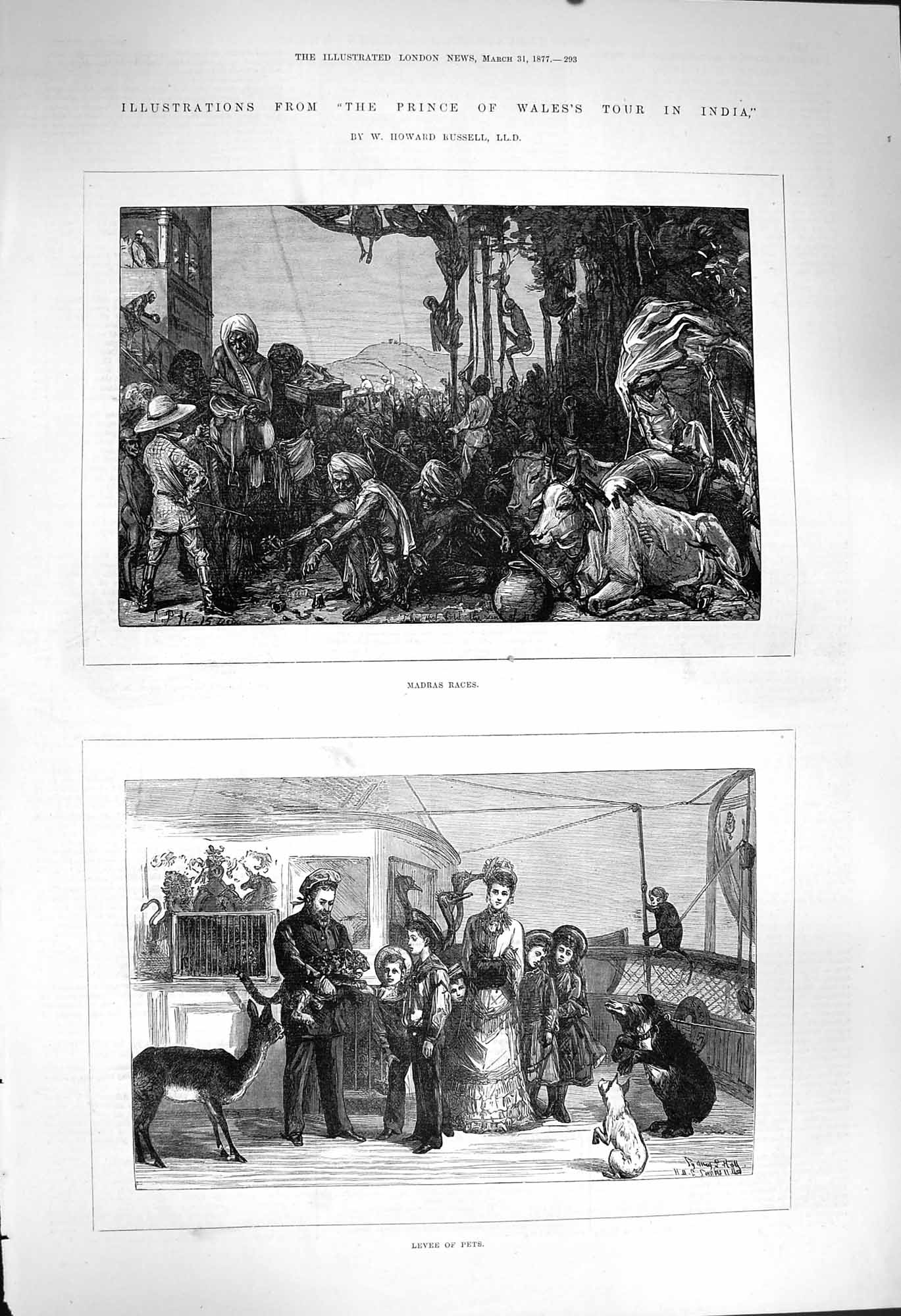 Original Old Antique Print 1877 Madras Races Levee Pets Prince Wales Tour India