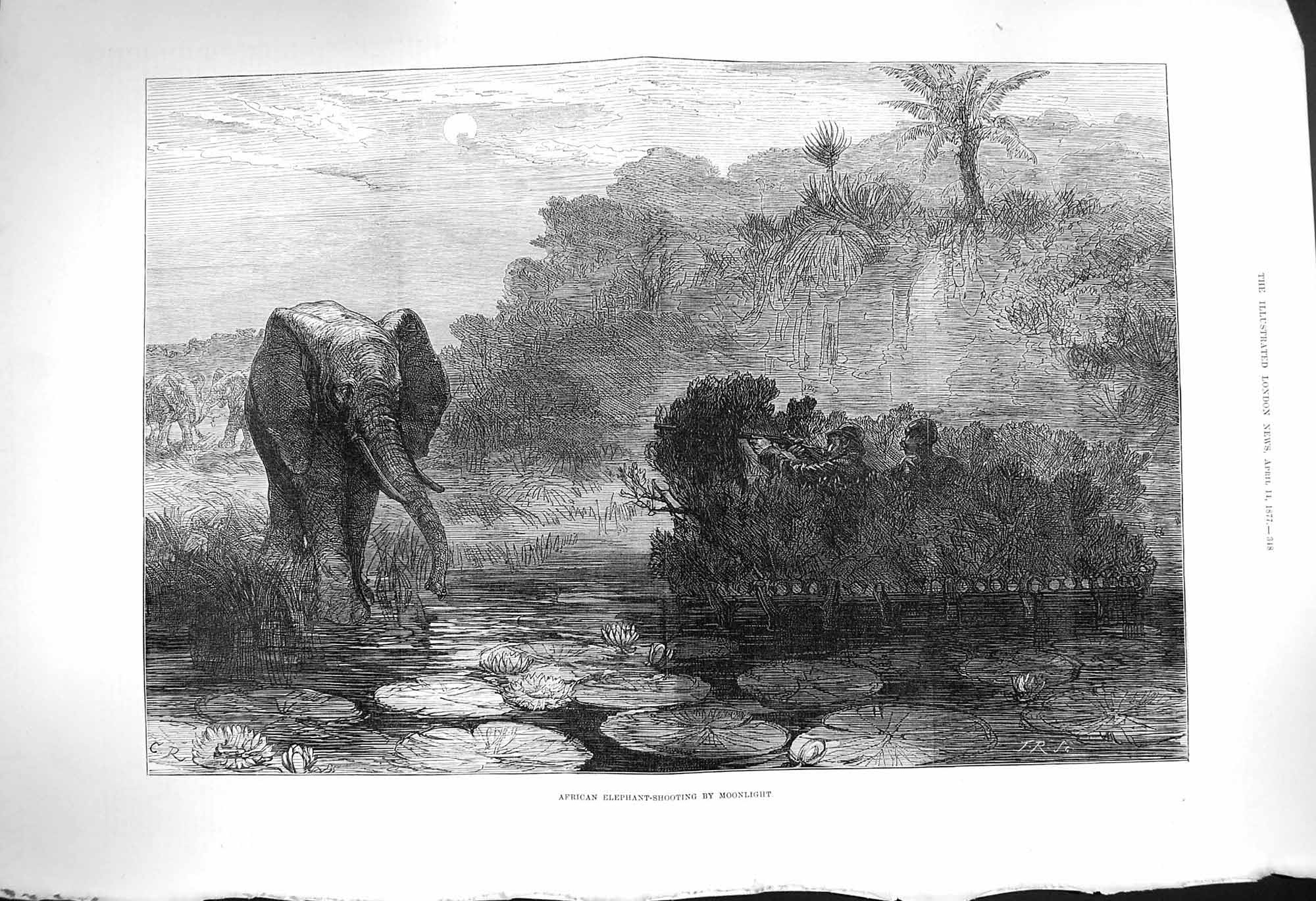 Original Old Antique Print 1877 African Elephant Shooting Hunting Mo Victorian